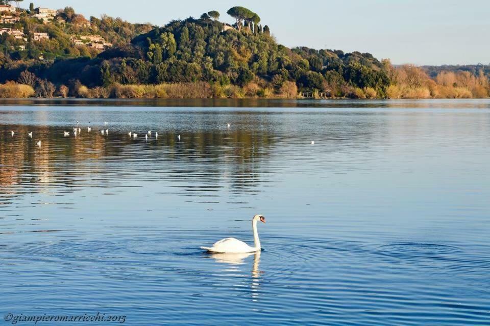 Pepe Apartment -Lago Di Bracciano Trevignano Romano Eksteriør bilde